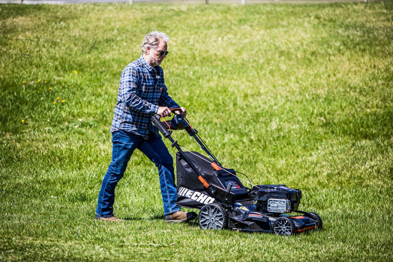 Task #1: Keep Mowing , Task #2: Aerate Soil, Task #4: Water, Task #5: Fertilize, Task #6: Mulch Leaves