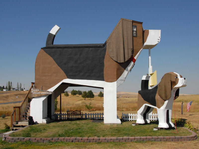 IDAHO: The Dog Bark Park Inn ALABAMA: Gulf, Mobile, and Ohio Passenger Terminal, ALASKA: The University of Alaska's Museum of the North, ARIZONA: Chapel of the Holy Cross, ARKANSAS: Thorncrown Chapel, CALIFORNIA: The Chemosphere, CONNECTICUT: Grace Farms, DELAWARE: Wilmington's Grand Opera House, FLORIDA: The Salvador Dalí Museum, HAWAII: ʻIolani Palace, IDAHO: The Dog Bark Park Inn, ILLINOIS: Bahá'í House of Worship, INDIANA: West Baden Springs Hotel, IOWA: Grotto of the Redemption, KANSAS: Big Well in Greensburg, KENTUCKY: Churchill Downs, LOUISIANA: The Pontalba Buildings, MAINE: The Portland Head Light, MARYLAND: The American Visionary Art Museum, MASSACHUSETTS: Simmons Hall at MIT, MICHIGAN: Charles H. Wright Museum of African American History, MINNESOTA: The Marjorie McNeely Conservatory, MISSOURI: The Community Bookshelf, MONTANA: Montana State Capitol building, NEVADA: Ward Charcoal Ovens, NEW HAMPSHIRE: Mount Washington Hotel, NEW JERSEY: Nassau Hall at Princeton University, NEW YORK: The Chrysler Building, NORTH DAKOTA: The North Dakota Heritage Center, OHIO: The Longaberger Company building, SOUTH DAKOTA: The Corn Palace, TENNESSEE: Parthenon in Centennial Park, TEXAS: James Turrell's Twilight Epiphany skyspace, UTAH: Natural History Museum of Utah, VERMONT: The Old Round Church, VIRGINIA: Dulles International Airport, WASHINGTON: Seattle Central Library, WEST VIRGINIA: The Palace of Gold, WISCONSIN: The Burke Brise Soleil, WYOMING: Smith Mansion