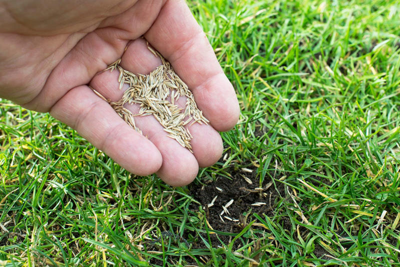 Task #1: Keep Mowing , Task #2: Aerate Soil, Task #4: Water, Task #5: Fertilize, Task #6: Mulch Leaves