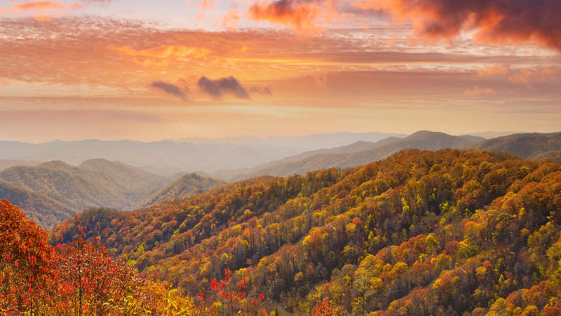 Great Smoky Mountains National Park, Colorado National Parks, Utah National Parks, California National Parks, New Mexico National Parks, Mammoth Caves National Parks, Gateway Arch National Park, Arizona National Parks, Acadia National Park, Why Conservationists Are Concerned