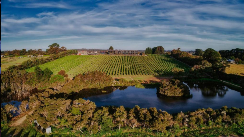 Best for coastal seclusion, Best for off-grid adventure, Best for adults-only wonderment, Best for a unique treehouse stay, Best for Daylesford daytrips, Best for spectacular stargazing, Best for artful indulgence, Best for exploring Red Hill, Best for hot springs and restorative sleep, Best for wild adventures, Read More