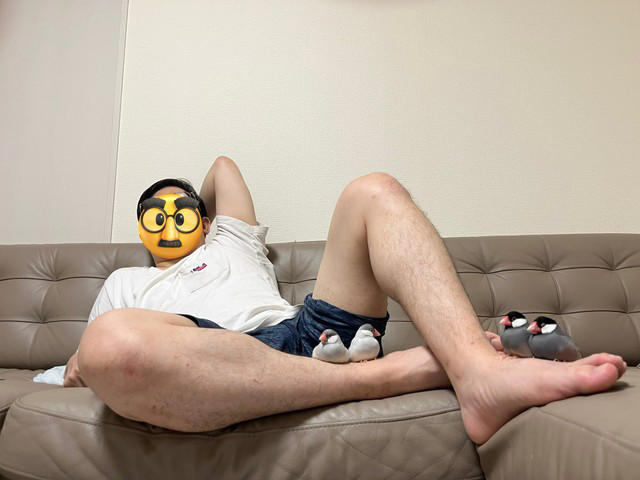 「夕飯を作ろうとしたらこの光景でした」, 文鳥社会は意外と「ドロドロ」, 「制圧されましたが、なんとか夕飯は作れました」, 「8羽全員が足の上でわちゃわちゃ」幸せな瞬間, ネットの反応「作れないけど幸せ」