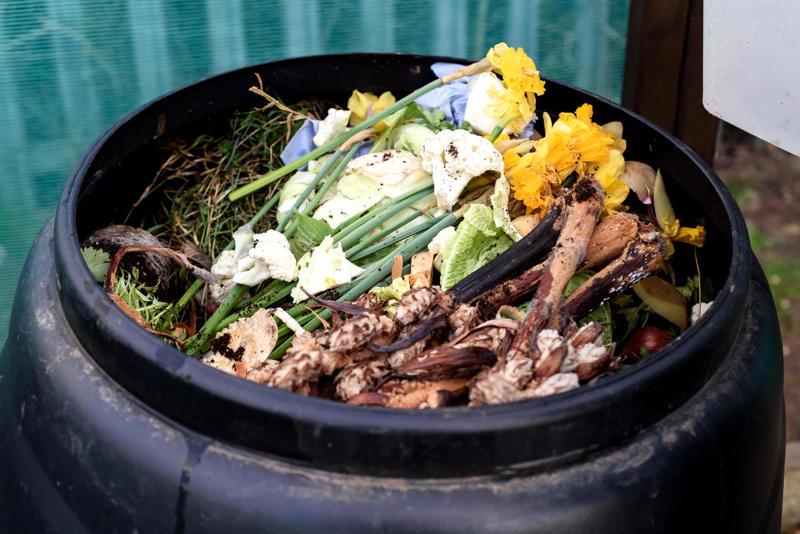 Look at the sale racks, Buy bare root, Take cuttings, Boost flower power with self-seeders, Sow seeds rather than buying mature plants, Make your own compost