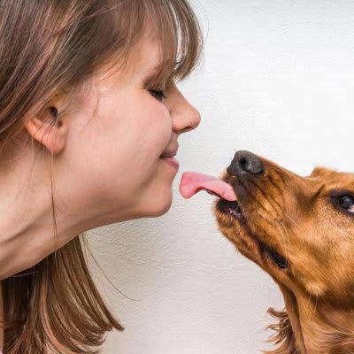 犬が飼い主をしつこく舐めてくる…理由は？, 舐められると人体に悪影響を及ぼす場合も, 犬に舐めさせてはいけない『体の部位』２選, 2.傷のある箇所, 免疫力が低い人も要注意, 犬に舐める行為をやめさせる方法は？