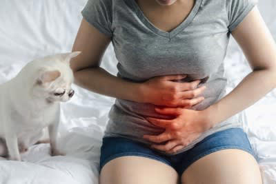 犬が飼い主をしつこく舐めてくる…理由は？, 舐められると人体に悪影響を及ぼす場合も, 犬に舐めさせてはいけない『体の部位』２選, 2.傷のある箇所, 免疫力が低い人も要注意, 犬に舐める行為をやめさせる方法は？