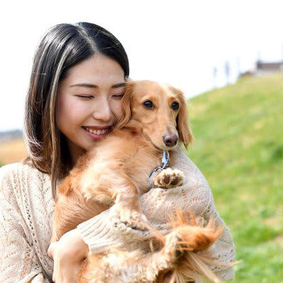 犬が飼い主を「苦手だなぁ」と思う原因5選, 1.無理なスキンシップ, 2.大声や威圧的な態度, 3.一貫性のないしつけ, 4.犬のサインを無視する, 5.運動や遊び不足, 犬が嫌いな人に見せる態度, 犬に好意を持ってもらうためには