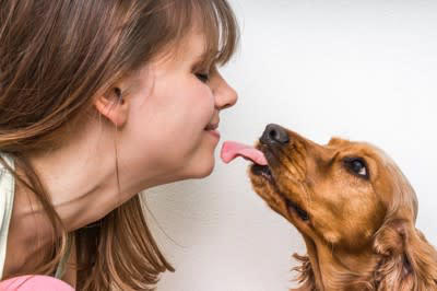 犬が飼い主をしつこく舐めてくる…理由は？, 舐められると人体に悪影響を及ぼす場合も, 犬に舐めさせてはいけない『体の部位』２選, 2.傷のある箇所, 免疫力が低い人も要注意, 犬に舐める行為をやめさせる方法は？