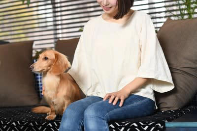 犬が『飼い主の近くに寄ってくる』心理５選, 2.かまってほしい, 3.近くにいて安心したい, 4.不安を取り除いてほしい, 5.要望・要求がある, 愛犬にくっついてもらうためにできること