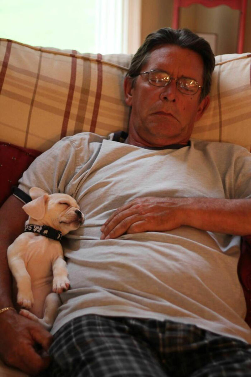 #9 He Never Wanted A Dog. Four Days After They Met, She Helped Him To Recover From A Stroke #11 "I Will Not Be Raising That Dog" ;), #21 My Dad And His Grandcat, #23 He Still Calls Him "Stupid Cat", #25 Dad Didn’t Want Kissems. Naturally, Kissems Loves Dad The Most, #37 My Dad Regularly Sends Me Messages Like This, #39 My Dad: I Want Nothing To Do With That Pile Of Hair, #41 My Dad-Who-Did-Not-Want-Pets Comforting A Scared Pup On His First Vet Trip, #43 Um Can We Get Some Privacy Please?