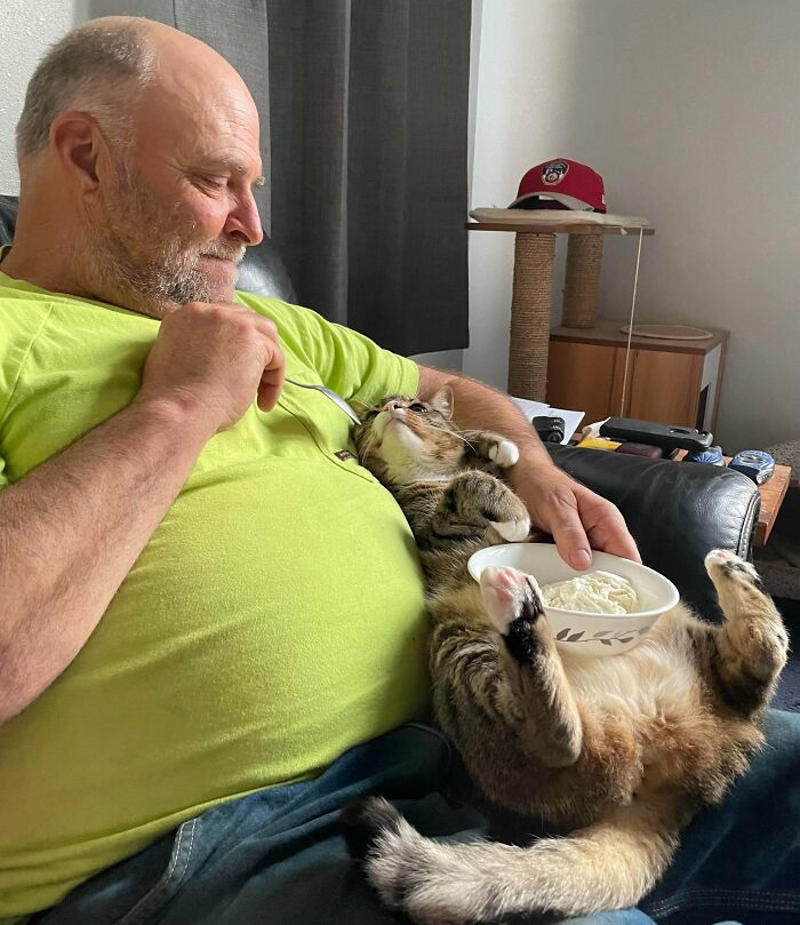 #1 He Proclaimed That Cats Just “Aren’t As Friendly As Dogs”. Now They Eat Vanilla Ice Cream Together Like Absolute Soulmates #11 "I Will Not Be Raising That Dog" ;), #21 My Dad And His Grandcat, #23 He Still Calls Him "Stupid Cat", #25 Dad Didn’t Want Kissems. Naturally, Kissems Loves Dad The Most, #37 My Dad Regularly Sends Me Messages Like This, #39 My Dad: I Want Nothing To Do With That Pile Of Hair, #41 My Dad-Who-Did-Not-Want-Pets Comforting A Scared Pup On His First Vet Trip, #43 Um Can We Get Some Privacy Please?