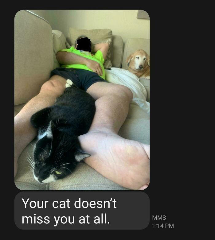 #29 I Went To Canada For A Week And Received This Text From My Dad #11 "I Will Not Be Raising That Dog" ;), #21 My Dad And His Grandcat, #23 He Still Calls Him "Stupid Cat", #25 Dad Didn’t Want Kissems. Naturally, Kissems Loves Dad The Most, #37 My Dad Regularly Sends Me Messages Like This, #39 My Dad: I Want Nothing To Do With That Pile Of Hair, #41 My Dad-Who-Did-Not-Want-Pets Comforting A Scared Pup On His First Vet Trip, #43 Um Can We Get Some Privacy Please?