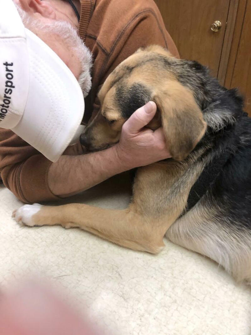 #41 My Dad-Who-Did-Not-Want-Pets Comforting A Scared Pup On His First Vet Trip #11 "I Will Not Be Raising That Dog" ;), #21 My Dad And His Grandcat, #23 He Still Calls Him "Stupid Cat", #25 Dad Didn’t Want Kissems. Naturally, Kissems Loves Dad The Most, #37 My Dad Regularly Sends Me Messages Like This, #39 My Dad: I Want Nothing To Do With That Pile Of Hair, #41 My Dad-Who-Did-Not-Want-Pets Comforting A Scared Pup On His First Vet Trip, #43 Um Can We Get Some Privacy Please?