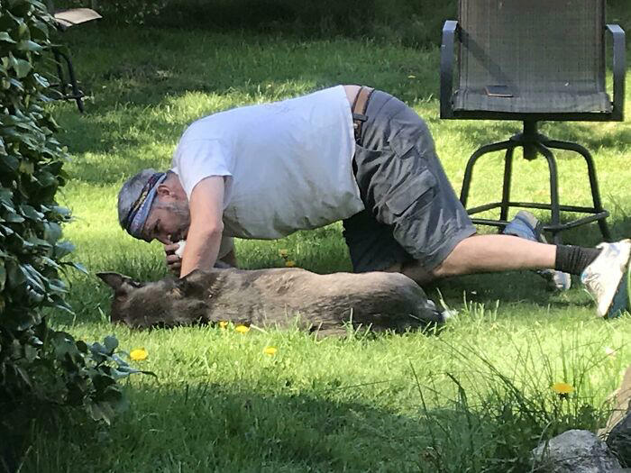 #19 It Took Years To Convince My Dad To Get Us A Dog But Here He Is Kissing My Dog’s Foot After He Hurt It Chasing A Rabbit #11 "I Will Not Be Raising That Dog" ;), #21 My Dad And His Grandcat, #23 He Still Calls Him "Stupid Cat", #25 Dad Didn’t Want Kissems. Naturally, Kissems Loves Dad The Most, #37 My Dad Regularly Sends Me Messages Like This, #39 My Dad: I Want Nothing To Do With That Pile Of Hair, #41 My Dad-Who-Did-Not-Want-Pets Comforting A Scared Pup On His First Vet Trip, #43 Um Can We Get Some Privacy Please?