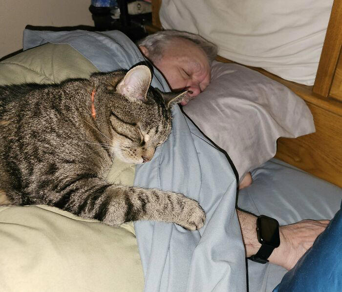#21 My Dad And His Grandcat #11 "I Will Not Be Raising That Dog" ;), #21 My Dad And His Grandcat, #23 He Still Calls Him "Stupid Cat", #25 Dad Didn’t Want Kissems. Naturally, Kissems Loves Dad The Most, #37 My Dad Regularly Sends Me Messages Like This, #39 My Dad: I Want Nothing To Do With That Pile Of Hair, #41 My Dad-Who-Did-Not-Want-Pets Comforting A Scared Pup On His First Vet Trip, #43 Um Can We Get Some Privacy Please?