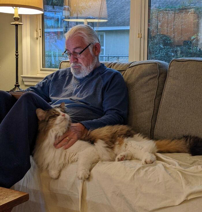 #25 Dad Didn’t Want Kissems. Naturally, Kissems Loves Dad The Most #11 "I Will Not Be Raising That Dog" ;), #21 My Dad And His Grandcat, #23 He Still Calls Him "Stupid Cat", #25 Dad Didn’t Want Kissems. Naturally, Kissems Loves Dad The Most, #37 My Dad Regularly Sends Me Messages Like This, #39 My Dad: I Want Nothing To Do With That Pile Of Hair, #41 My Dad-Who-Did-Not-Want-Pets Comforting A Scared Pup On His First Vet Trip, #43 Um Can We Get Some Privacy Please?