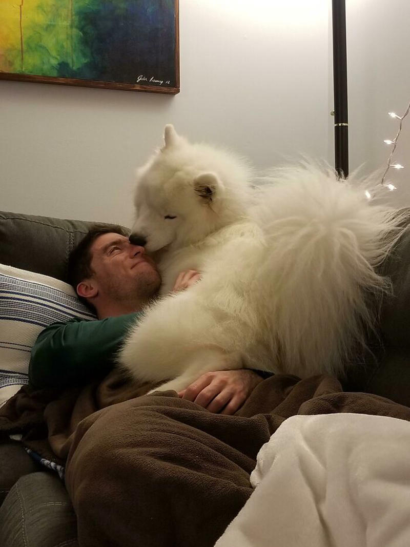 #11 "I Will Not Be Raising That Dog" ;), #21 My Dad And His Grandcat, #23 He Still Calls Him "Stupid Cat", #25 Dad Didn’t Want Kissems. Naturally, Kissems Loves Dad The Most, #37 My Dad Regularly Sends Me Messages Like This, #39 My Dad: I Want Nothing To Do With That Pile Of Hair, #41 My Dad-Who-Did-Not-Want-Pets Comforting A Scared Pup On His First Vet Trip, #43 Um Can We Get Some Privacy Please?