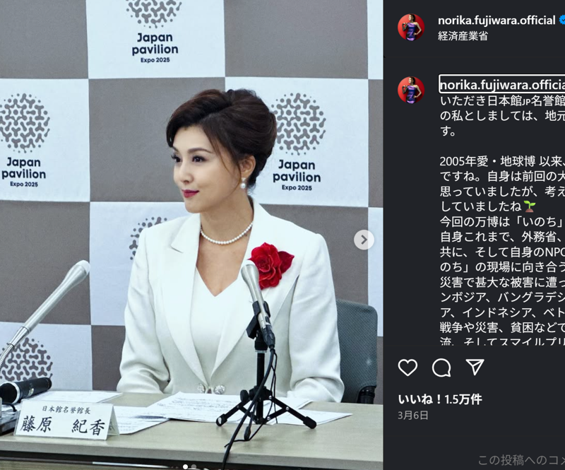 大阪・関西万博の日本館名誉館長, 参加国による「ナショナルデー」の開催, 「世界に一つの手書きの帯」, ミス日本グランプリで優勝, 上京し芸能界入り, 女優としても大人気に, ボランティア活動, 「Smile Please☆世界子ども基金」, 離婚の理由は陣内の浮気, 六代目片岡愛之助と再婚
