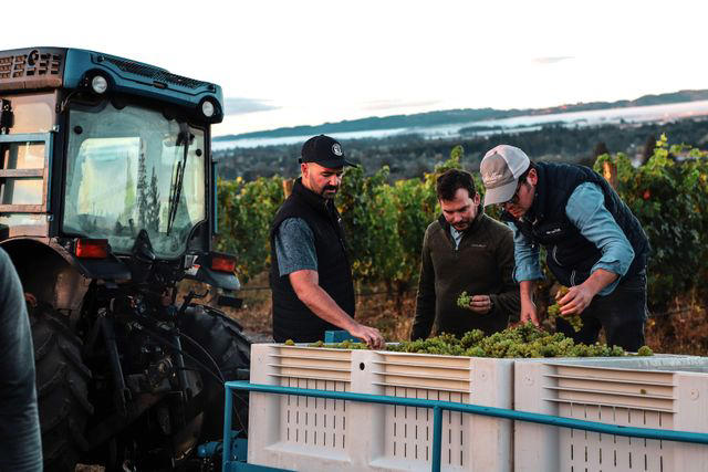 What is traditional-method sparkling wine?, Why is Oregon one of the best places to produce sparkling wine?, The sparkling start in Oregon , Oregon’s bubbly future