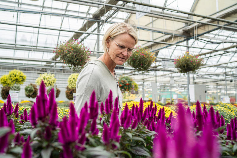 Clean up garden beds, Add a pop of seasonal color, Divide and transplant perennials, Protect perennials and shrubs, Avoid common mistakes, Plant bulbs now for spring, Strengthen the lawn