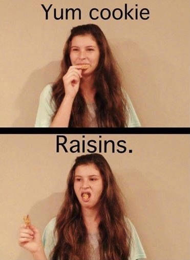 Raisin Drama, Again “I Think I Know What Went Wrong” No, You Don’t., Alex, Buddy… That’s Not What You Need., Why Are You Promoting Another Recipe… Here?!, Rachel. It’s. Pumpkin. Cookies., When It's Giving Zero Seasoning, Raisin Drama, Again, Plot Twist: He Hates The Main Ingredient, But It’s Literally Written There. In English., Oatmeal Raisin… Without the Raisin?, Banana Bread. No Bananas., "It's Not Me, It's You!", Ginger Crunch… Minus the Ginger., At This Point, They’re Just Guessing, “Too Sweet” (Because You Made Something Else), Reading Is Fundamental (and Delicious), Step 2. It’s In Step 2. PLEASE., Go, Ethel! You Domestic Queen, Nicole, This Ain’t It.