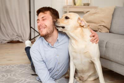 犬が「捨てられた」と勘違いする飼い主の行動4選, 1.突然の環境の変化, 2.不適切な別れの挨拶, 3.新しい家族の加入, 「捨てられた」と勘違いした犬が見せるサイン, 愛犬に不安を抱かせない心のケア