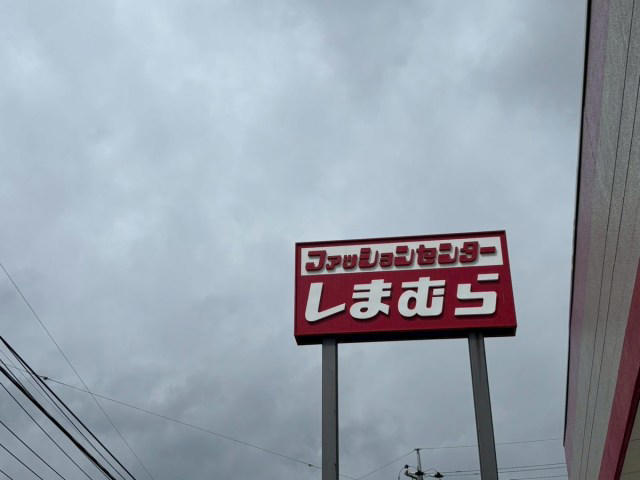 ・ひらめきから2週間、服屋をさまよう日々, ・しまむらでついに発見！, ・コーデ1：ビビッと来た青のゆったりカーディガン, ・コーデ2：濃いブルーのワンピでシンプルに, ・いつか聖地でコーデの最終チェックを