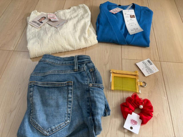 ・ひらめきから2週間、服屋をさまよう日々, ・しまむらでついに発見！, ・コーデ1：ビビッと来た青のゆったりカーディガン, ・コーデ2：濃いブルーのワンピでシンプルに, ・いつか聖地でコーデの最終チェックを