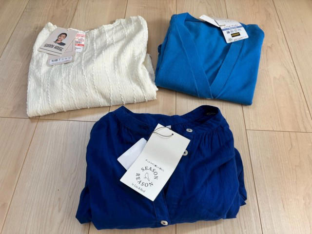 ・ひらめきから2週間、服屋をさまよう日々, ・しまむらでついに発見！, ・コーデ1：ビビッと来た青のゆったりカーディガン, ・コーデ2：濃いブルーのワンピでシンプルに, ・いつか聖地でコーデの最終チェックを