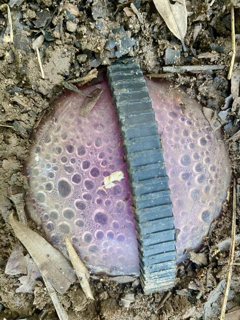 'What are the little cups beside this bar sink?', 'Small metal thing found while gardening, quite heavy, 2411 on the end.', 'Found in laundry. Clear sparkly bean-like thing stained my clothes pink.', 'Weird stools found at the curb in an old industrial area.', 'Lead STA-TITE with rubber band, about 4oz.'