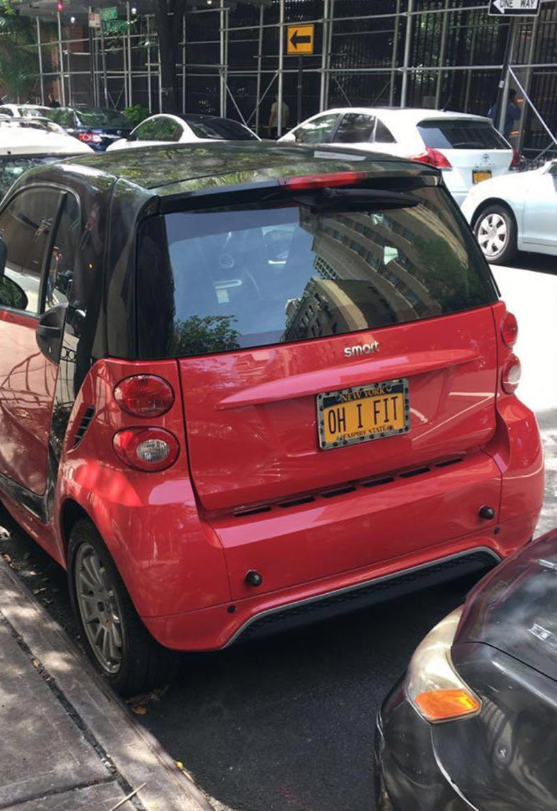 1. Whasaab, 2. Brand confusion, 3. Subauwu, 4. Get a load of this guy, 6. The impala, 7. An awh-sum car, 8. Ur obese, 9. Why be normal, 10. A very Canadian plate, 11. Comedy in one word, 12. Cheeto Jeep, 13. Luxury with a side of humility, 14. Midlife dream or crisis, 15. No problem parking, 16. Meta, 17. Sassy exit, 18. It’s a vibe, 19. License plate therapy session, 20. Purrsonality on wheels, 21. Owning it, 22. Keeping it literal, 23. Priorities on display, 24. Serving royal energy, 25. Weewoo on wheels, 26. Corvette over retirement, 27. Minivan mythology, 28. Big wheels, green dreams, 29. Owning the slow lane, 30. Queen of the mud pits