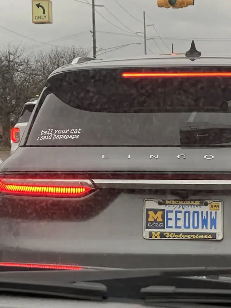 1. Whasaab, 2. Brand confusion, 3. Subauwu, 4. Get a load of this guy, 6. The impala, 7. An awh-sum car, 8. Ur obese, 9. Why be normal, 10. A very Canadian plate, 11. Comedy in one word, 12. Cheeto Jeep, 13. Luxury with a side of humility, 14. Midlife dream or crisis, 15. No problem parking, 16. Meta, 17. Sassy exit, 18. It’s a vibe, 19. License plate therapy session, 20. Purrsonality on wheels, 21. Owning it, 22. Keeping it literal, 23. Priorities on display, 24. Serving royal energy, 25. Weewoo on wheels, 26. Corvette over retirement, 27. Minivan mythology, 28. Big wheels, green dreams, 29. Owning the slow lane, 30. Queen of the mud pits