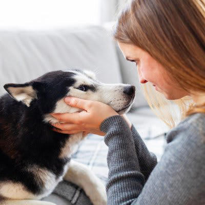 ️犬の目を見つめ続けてはいけない理由3つ, 1.威嚇だと捉えられてしまうため, 2.不安や恐怖心を与えてしまうから, 3.興奮させてしまう可能性がある, ️犬の目を見つめる際に注意すべきこと, 初対面の犬の目は見つめない, 目をそらされたら放っておく, じっと見つめ続けない
