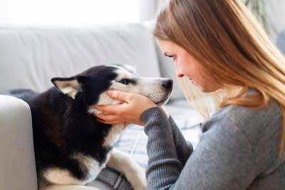 ️犬の目を見つめ続けてはいけない理由3つ, 1.威嚇だと捉えられてしまうため, 2.不安や恐怖心を与えてしまうから, 3.興奮させてしまう可能性がある, ️犬の目を見つめる際に注意すべきこと, 初対面の犬の目は見つめない, 目をそらされたら放っておく, じっと見つめ続けない