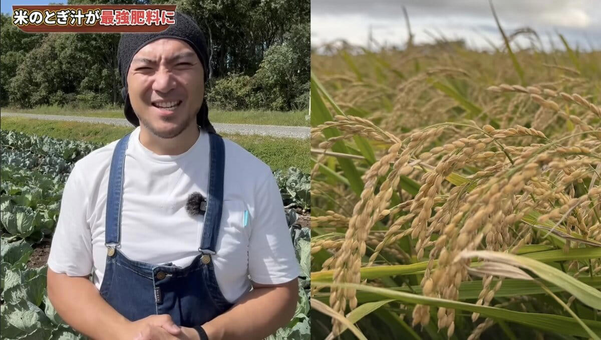 米のとぎ汁は、野菜のごちそう！, 黒壁直伝！ 最強の米のとぎ汁肥料のメリット3つ, 作り方はたった3STEP！, 絶対に守って！ 使用ルール5つ, 捨てるはずのとぎ汁で野菜が変わる！