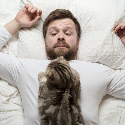 1.エネルギーを発散するため, 2.空腹や欲求不満を伝えるため, 3.狩猟本能のため, 4.ストレスや病気のため