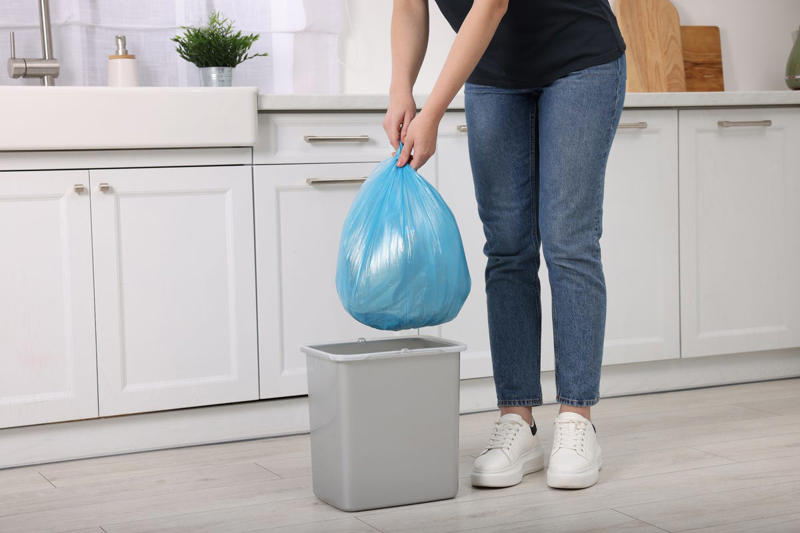 Make Your Bed, Vacuum the Floors, Take Out the Trash, Load (and Unload) the Dishwasher Right Away, Wipe Down Kitchen Surfaces, Wipe Down Bathroom Sinks and Countertops, Squeegee the Shower, Control Clutter, Brush Your Pets, Straighten Up