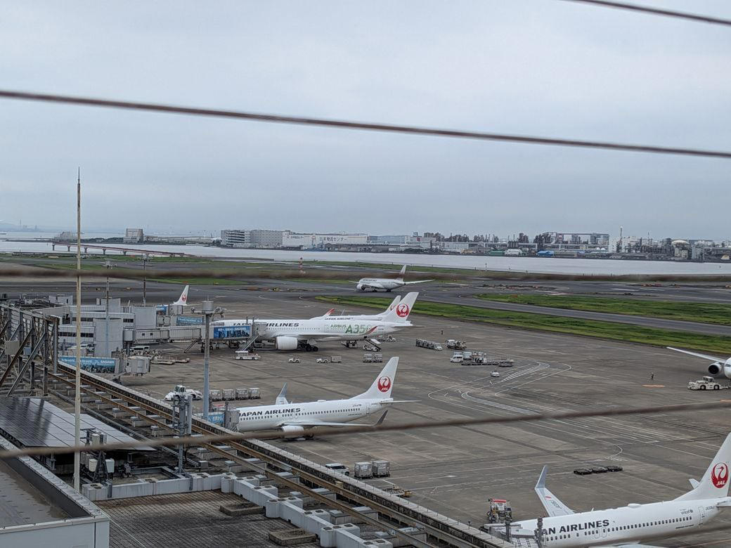 渋谷区よりも大きい！「日本最大」の空港, ガリバーデッキで轟音に驚くのも一興, 国際色豊かなフードコートを発見！, インバウンド向けらしきフードコートもあるが…, 今回の本命！9月オープンの「Sora chika」へ, 都内屈指の「有名店」の味が手軽に味わえる, もはや飲める？絶品カツカレーを頂く, 漬けマグロでご飯が進む進む, 都内屈指の名店の味をサクッと味わえる