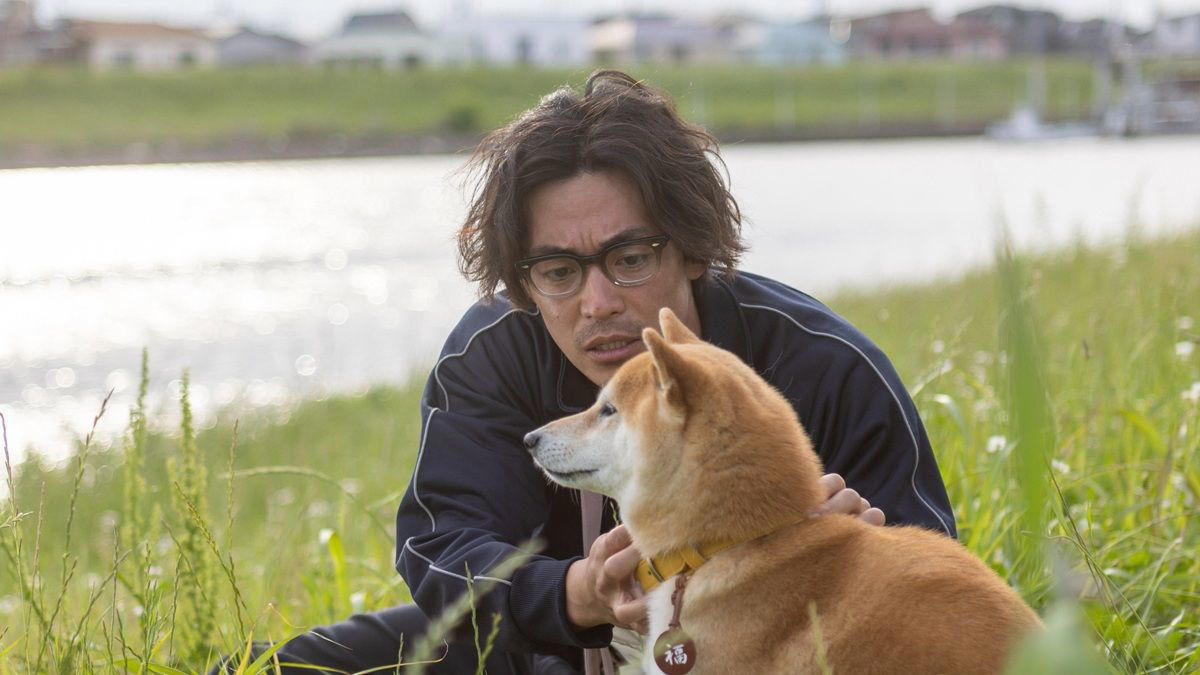 犬ファーストの現場で, 自由奔放さが魅力, 撮影前から一体感, 知的探求心が満たされる仕事, 自分の中の本棚を埋めて
