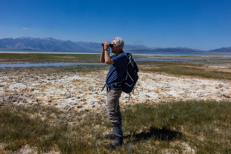 Unseen evolution , Wild and free — for now, When multiple uses collide , Shifting dynamics