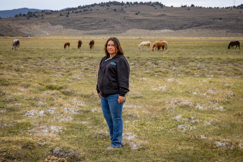 Unseen evolution , Wild and free — for now, When multiple uses collide , Shifting dynamics