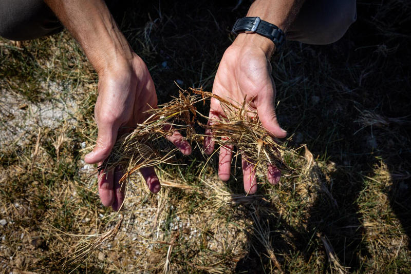 Unseen evolution , Wild and free — for now, When multiple uses collide , Shifting dynamics