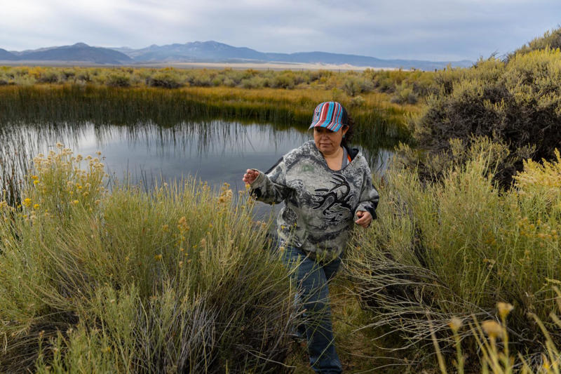 Unseen evolution , Wild and free — for now, When multiple uses collide , Shifting dynamics