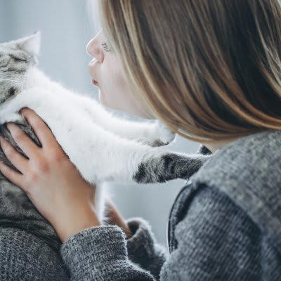 猫の信頼を失う「間違った機嫌のとり方」5選, 1.いきなり触る, 2.大きな声で呼びかける, 3.食べ物で機嫌をとろうとする, 4.寝床まで付きまとう, 5.ほかの同居猫と比較する, 猫からの信頼を失うリスクと正しい接し方