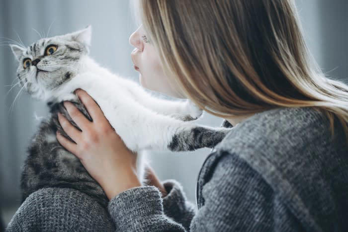 猫の信頼を失う「間違った機嫌のとり方」5選, 1.いきなり触る, 2.大きな声で呼びかける, 3.食べ物で機嫌をとろうとする, 4.寝床まで付きまとう, 5.ほかの同居猫と比較する, 猫からの信頼を失うリスクと正しい接し方