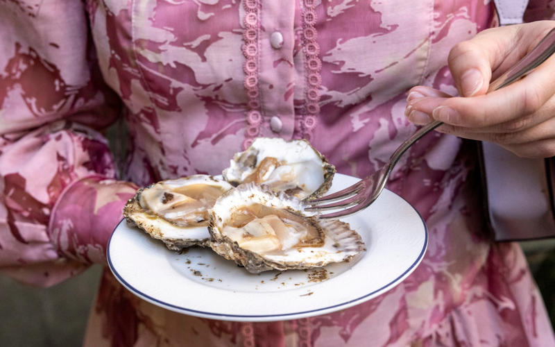 Myth 1: All oysters are created equal, Myth 2: Freshly shucked oysters must be swallowed whole, never chewed, Myth 3: Champagne is the only acceptable match for oysters, Myth 5: There’s no dignified way to eat oysters