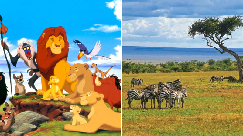 #7: The Lion King (1994)—African Savanna, Kenya #1: Ratatouille (2007)—Paris, France, #3: Frozen (2013)—Norwegian Fjords and Towns, #4: Brave (2012)—Scottish Highlands, #6: Howl’s Moving Castle (2004)—Colmar, France, and German Villages, #7: The Lion King (1994)—African Savanna, Kenya, #9: Coco (2017)—Oaxaca, Mexico, #10: Rango (2011)—Mojave Desert, California, #12: Big Hero 6 (2014)—San Fransokyo, #13: Up (2009)—Paradise Falls Inspired by Angel Falls, Venezuela, #15: Pocahontas (1995)—Great Smoky Mountains, USA, #16: Zootopia (2016)—Various Cities Around the World, #18: Beauty and the Beast (1991)—Villages in France, #19: Tangled (2010)—Bavaria, Germany, #21: Luca (2021)—Cinque Terre, Italy, #22: Aristocats (1970)—Paris, France, #24: The Secret of NIMH (1982)—American Farmlands