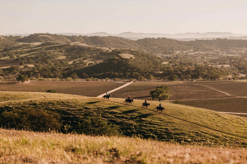 Napa Valley: Best for Red Wine Lovers, Paso Robles: Best for Western Vibes and Creative Winemakers, Santa Barbara: Best for Sipping Small Oceanside, Sonoma County: Best for Oenophiles Who Love the Outdoors