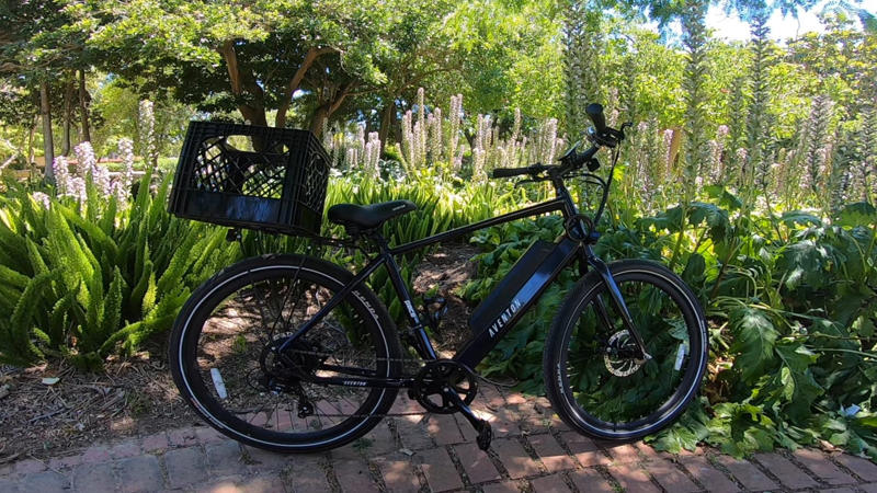 10. Aventon Pace 350.2 E-Bike 1. Trek FX 1 Hybrid Bike, 2. Schwinn Discover Hybrid Bike, 3. Giant Escape 3, 4. Specialized Roll Sport, 5. Cannondale Quick 6, 6. Electra Townie Original 7D, 7. Co-op Cycles CTY 1.1, 8. Priority Ace Single Speed, 9. Raleigh Detour 2, 10. Aventon Pace 350.2 E-Bike, 1. Pinarello Dogma F, 2. Specialized S-Works Tarmac SL8, 3. Cervélo R5, 4. Trek Émonda SLR 9, 5. BMC Teammachine SLR01, 6. Colnago V4Rs, 7. Canyon Aeroad CFR, 8. Giant TCR Advanced SL 0, 9. Scott Foil RC Ultimate, 10. Factor Ostro VAM