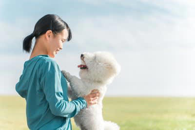 犬が飼い主に『楽しい』と伝えたいときの行動3つ, 1.笑顔で目を見つめる, 2.ぶんぶんと尻尾を振る, 3.ジャンプする、回る, 愛犬の気持ちへの上手な応え方