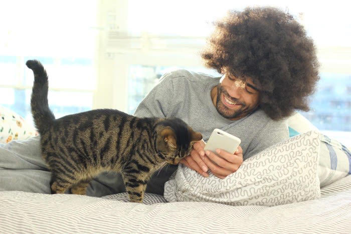 いつも猫と一緒に過ごすことで起こりえるデメリット4選, 1.分離不安症の原因になる, 2.甘やかしすぎてわがままになる, 3.ずっと一緒は猫にとってストレスになる, 4.お互いに依存するようになる, 猫と人間の適切な距離感は？